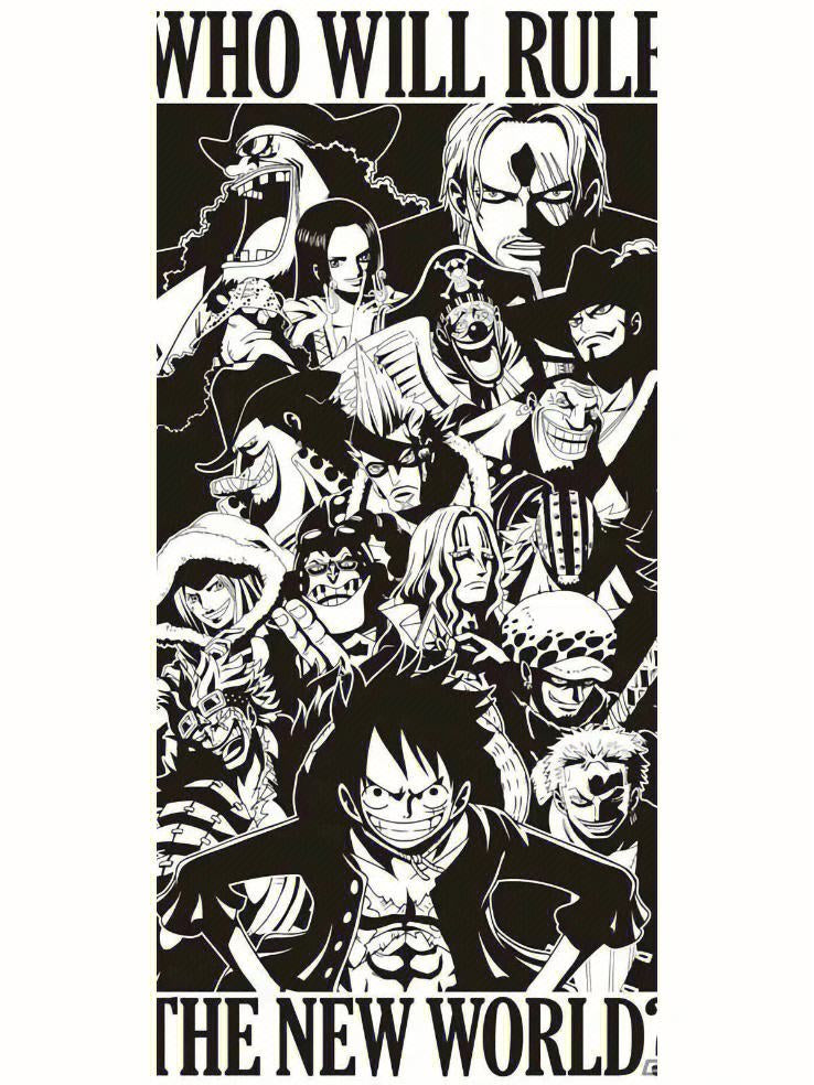 One piece 海贼王13